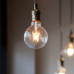 Bulbs