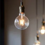 Bulbs