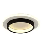 Smart Ceiling Lights